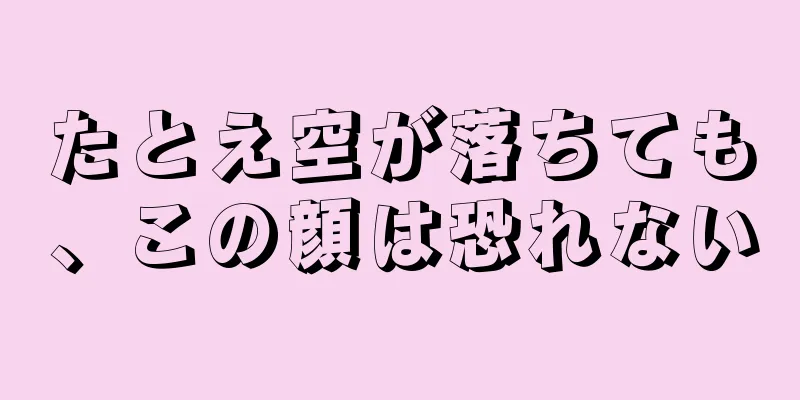 たとえ空が落ちても、この顔は恐れない