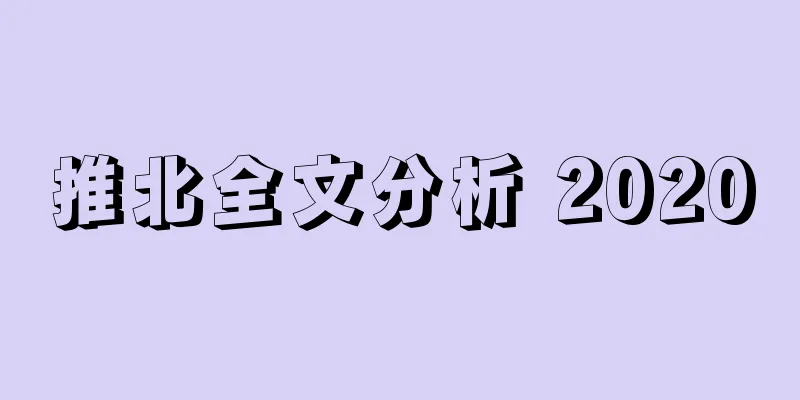 推北全文分析 2020