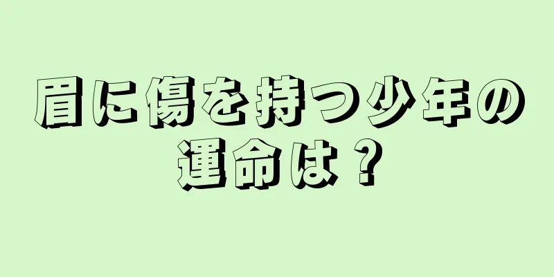 眉に傷を持つ少年の運命は？