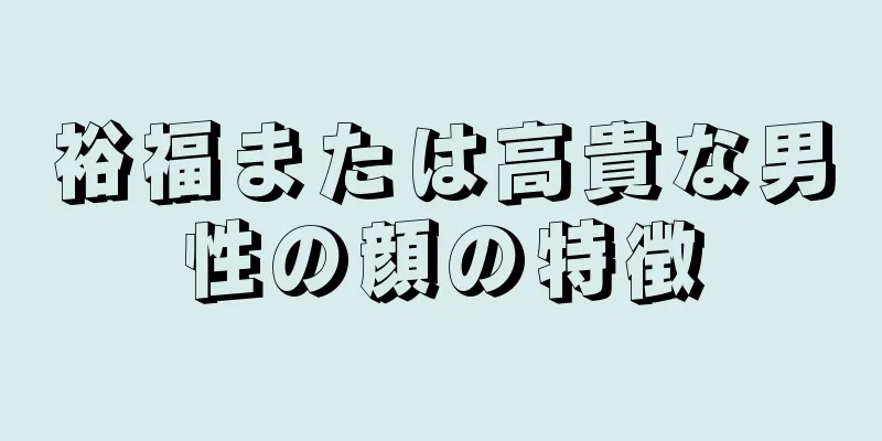 裕福または高貴な男性の顔の特徴