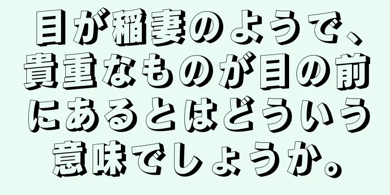 目が稲妻のようで、貴重なものが目の前にあるとはどういう意味でしょうか。