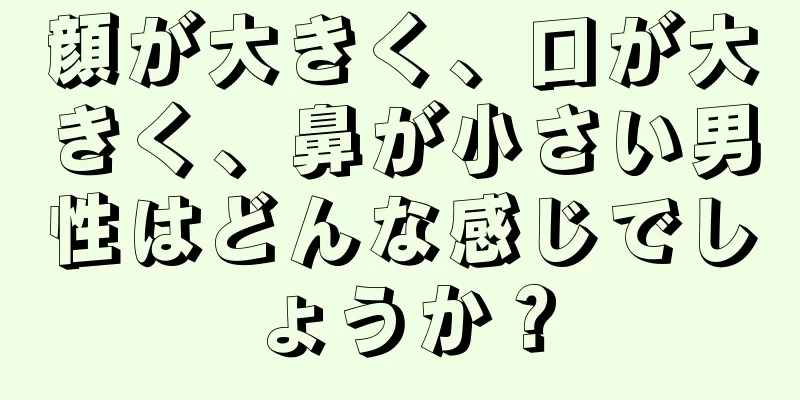 顔が大きく、口が大きく、鼻が小さい男性はどんな感じでしょうか？