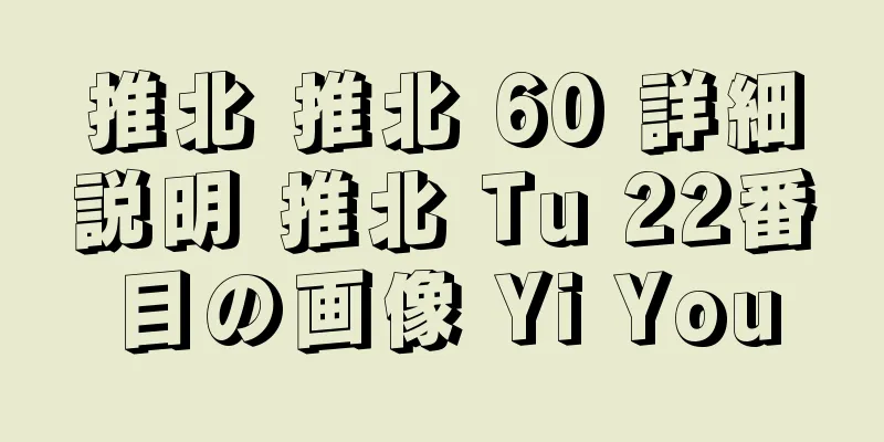 推北 推北 60 詳細説明 推北 Tu 22番目の画像 Yi You