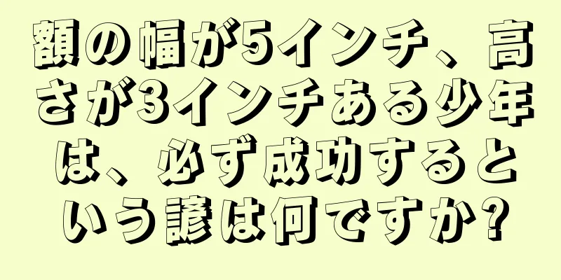 額の幅が5インチ、高さが3インチある少年は、必ず成功するという諺は何ですか?