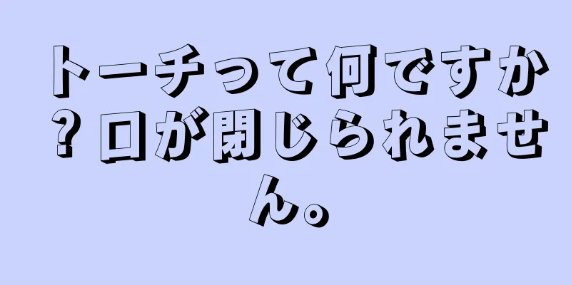 トーチって何ですか？口が閉じられません。