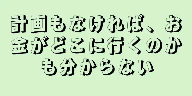 計画もなければ、お金がどこに行くのかも分からない