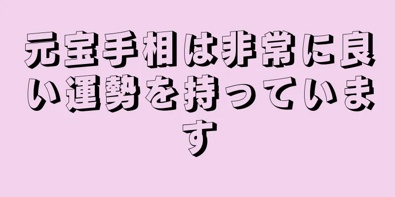 元宝手相は非常に良い運勢を持っています