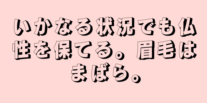 いかなる状況でも仏性を保てる。眉毛はまばら。