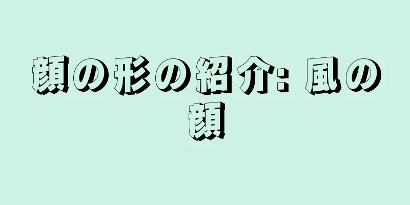 顔の形の紹介: 風の顔