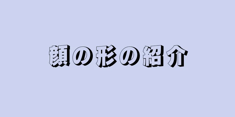 顔の形の紹介