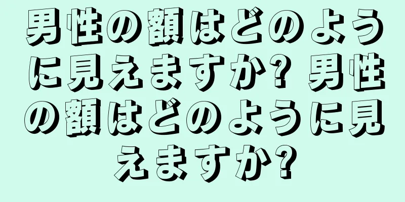 男性の額はどのように見えますか? 男性の額はどのように見えますか?