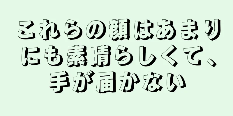 これらの顔はあまりにも素晴らしくて、手が届かない