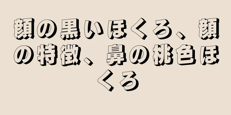 顔の黒いほくろ、顔の特徴、鼻の桃色ほくろ