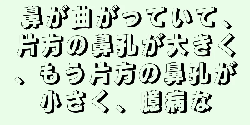 鼻が曲がっていて、片方の鼻孔が大きく、もう片方の鼻孔が小さく、臆病な