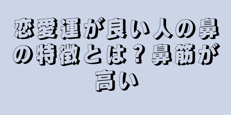 恋愛運が良い人の鼻の特徴とは？鼻筋が高い