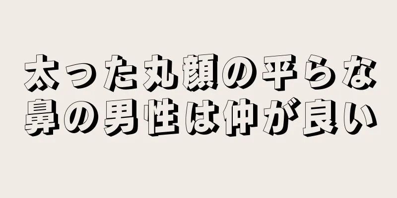 太った丸顔の平らな鼻の男性は仲が良い