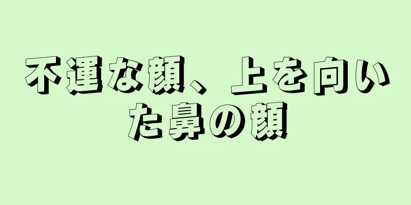 不運な顔、上を向いた鼻の顔