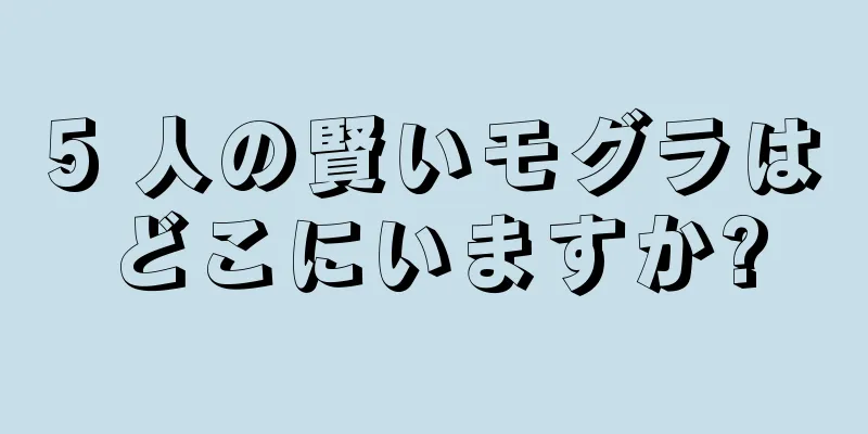 5 人の賢いモグラはどこにいますか?