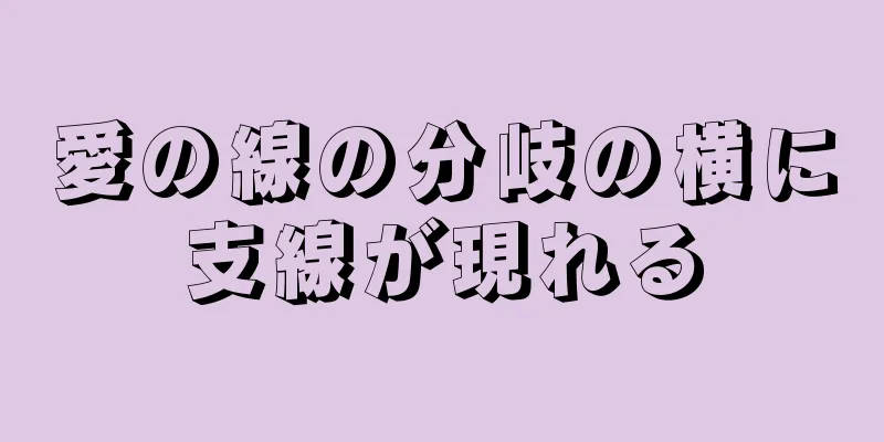 愛の線の分岐の横に支線が現れる