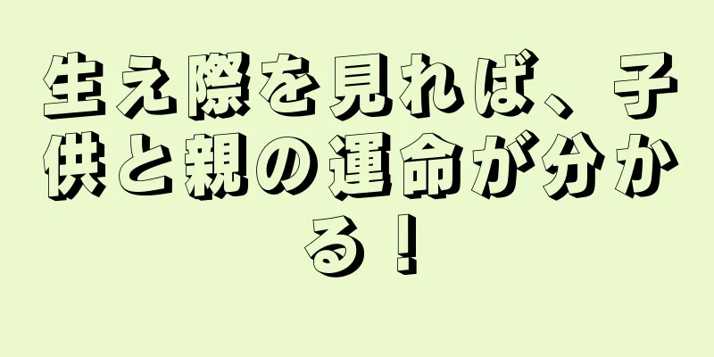 生え際を見れば、子供と親の運命が分かる！