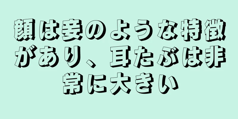 顔は妾のような特徴があり、耳たぶは非常に大きい