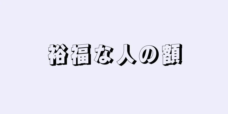 裕福な人の額