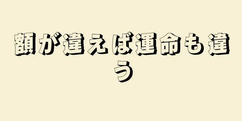 額が違えば運命も違う