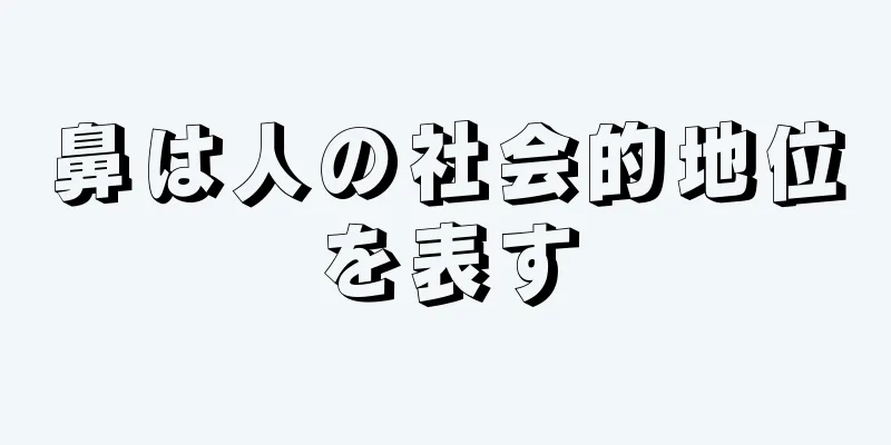 鼻は人の社会的地位を表す