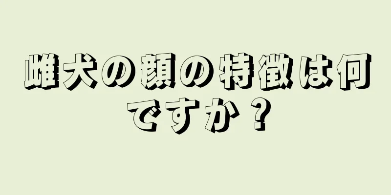 雌犬の顔の特徴は何ですか？