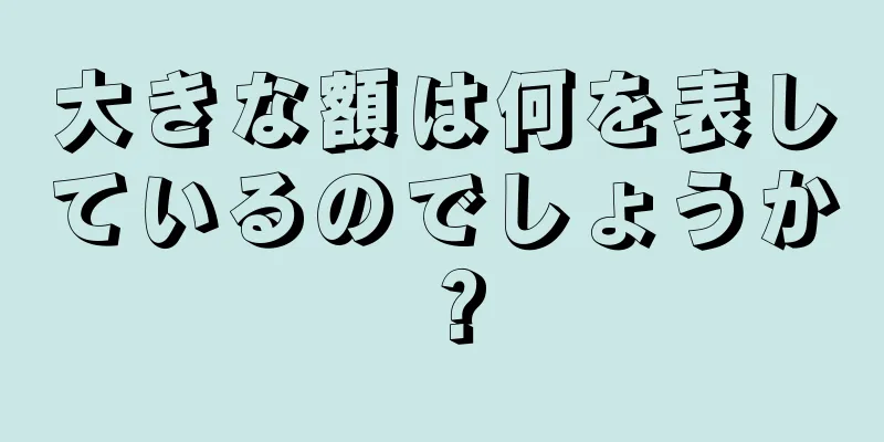 大きな額は何を表しているのでしょうか？