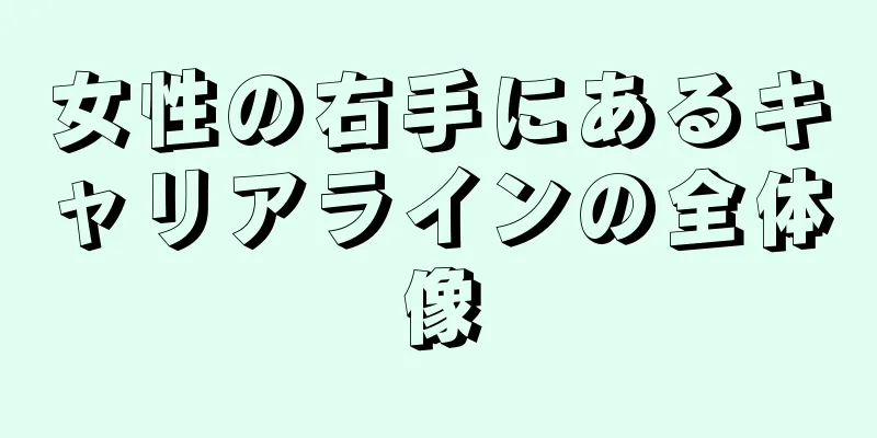 女性の右手にあるキャリアラインの全体像