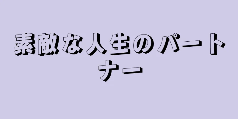 素敵な人生のパートナー