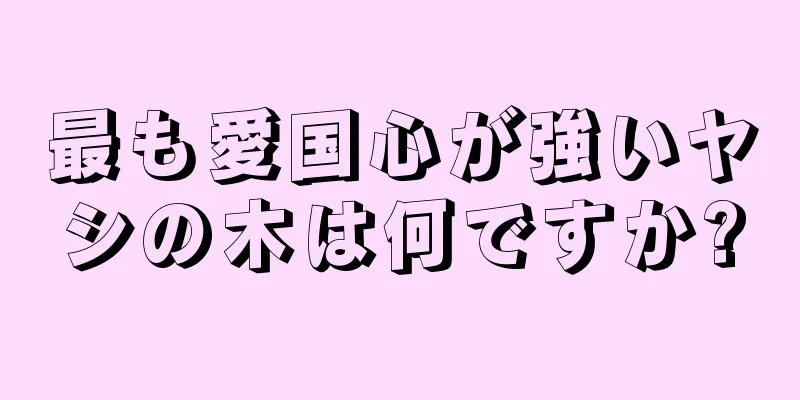 最も愛国心が強いヤシの木は何ですか?