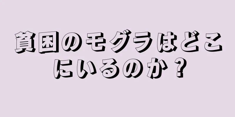 貧困のモグラはどこにいるのか？