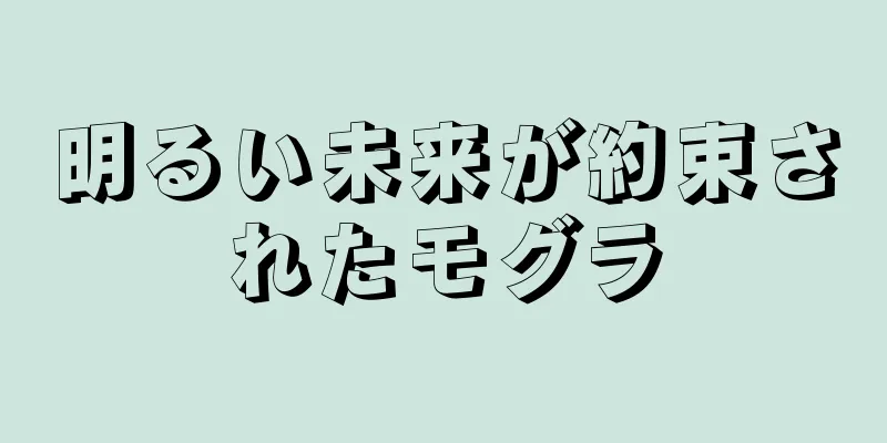 明るい未来が約束されたモグラ