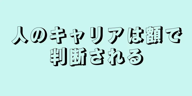 人のキャリアは額で判断される