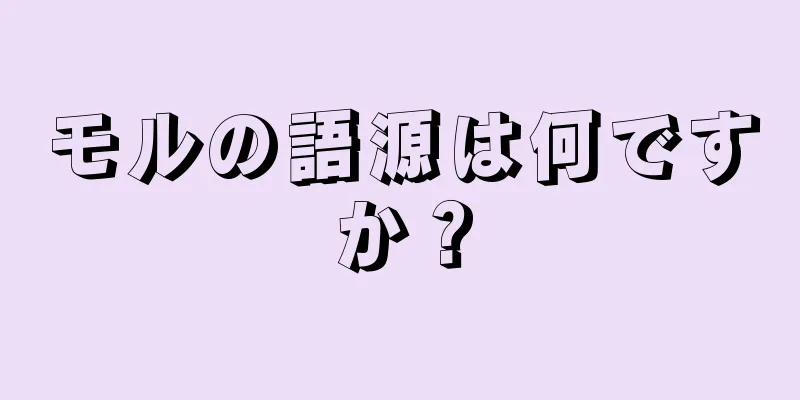 モルの語源は何ですか？