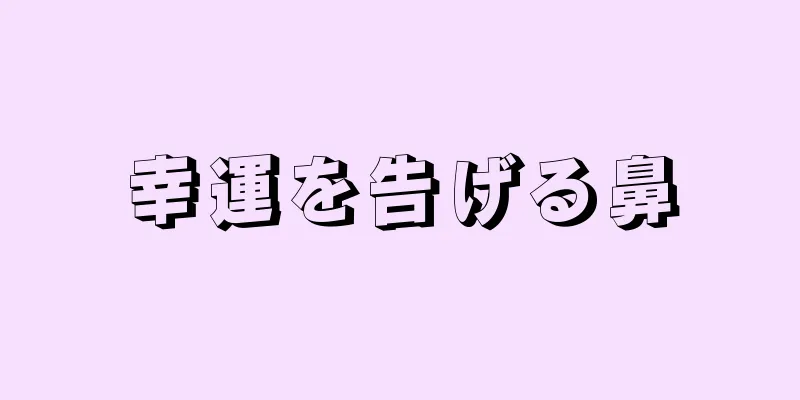 幸運を告げる鼻