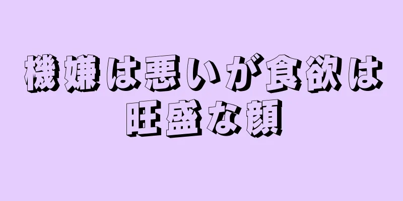 機嫌は悪いが食欲は旺盛な顔