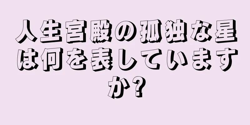 人生宮殿の孤独な星は何を表していますか?