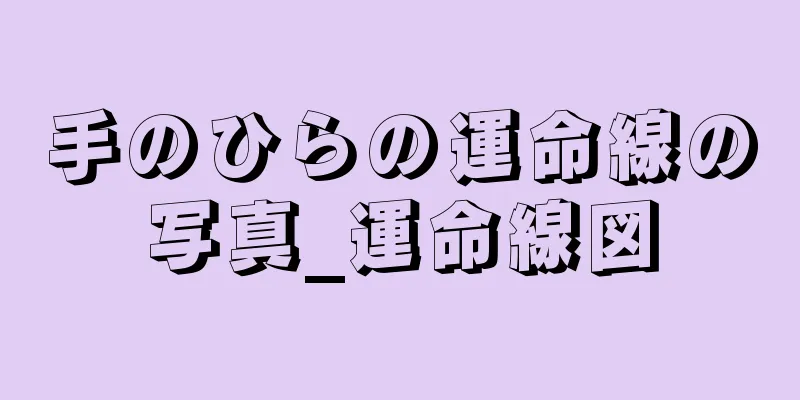 手のひらの運命線の写真_運命線図