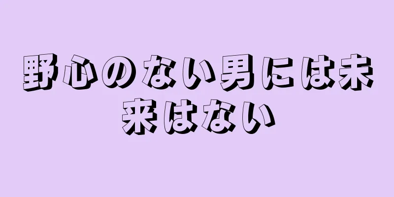 野心のない男には未来はない