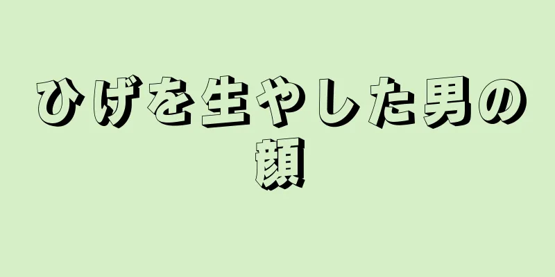 ひげを生やした男の顔