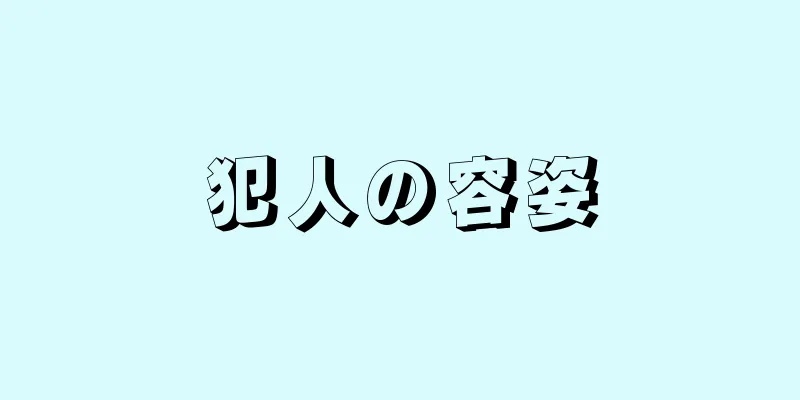 犯人の容姿