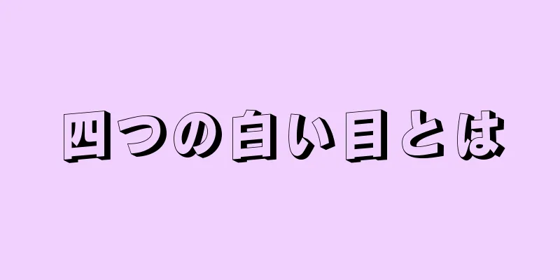 四つの白い目とは