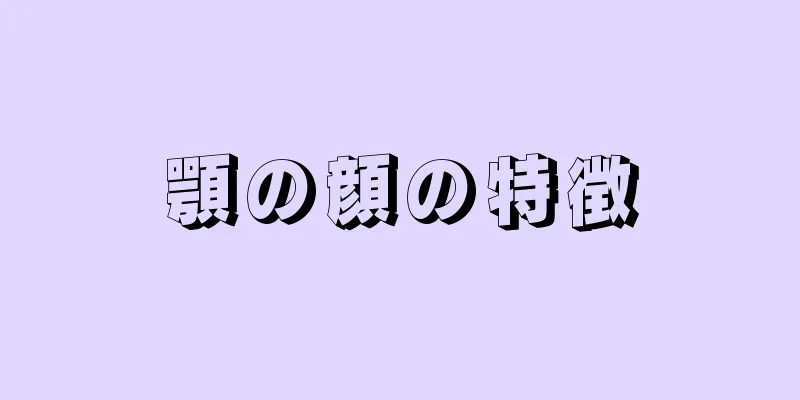 顎の顔の特徴