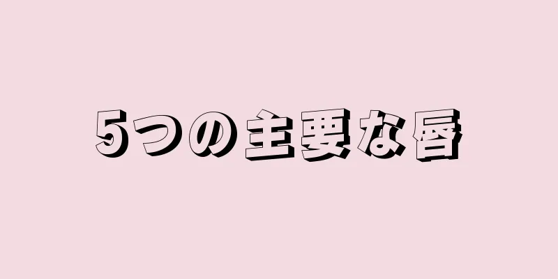 5つの主要な唇