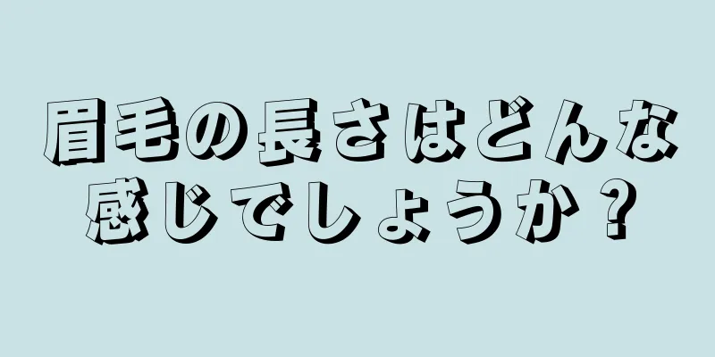 眉毛の長さはどんな感じでしょうか？