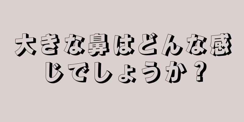 大きな鼻はどんな感じでしょうか？