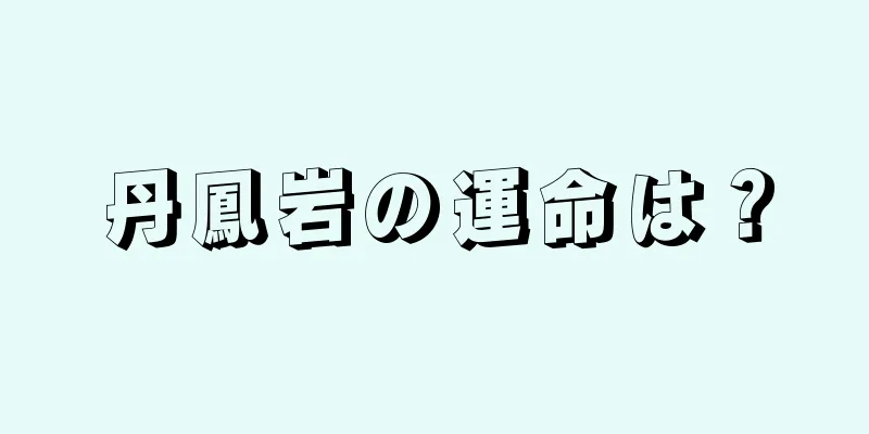 丹鳳岩の運命は？